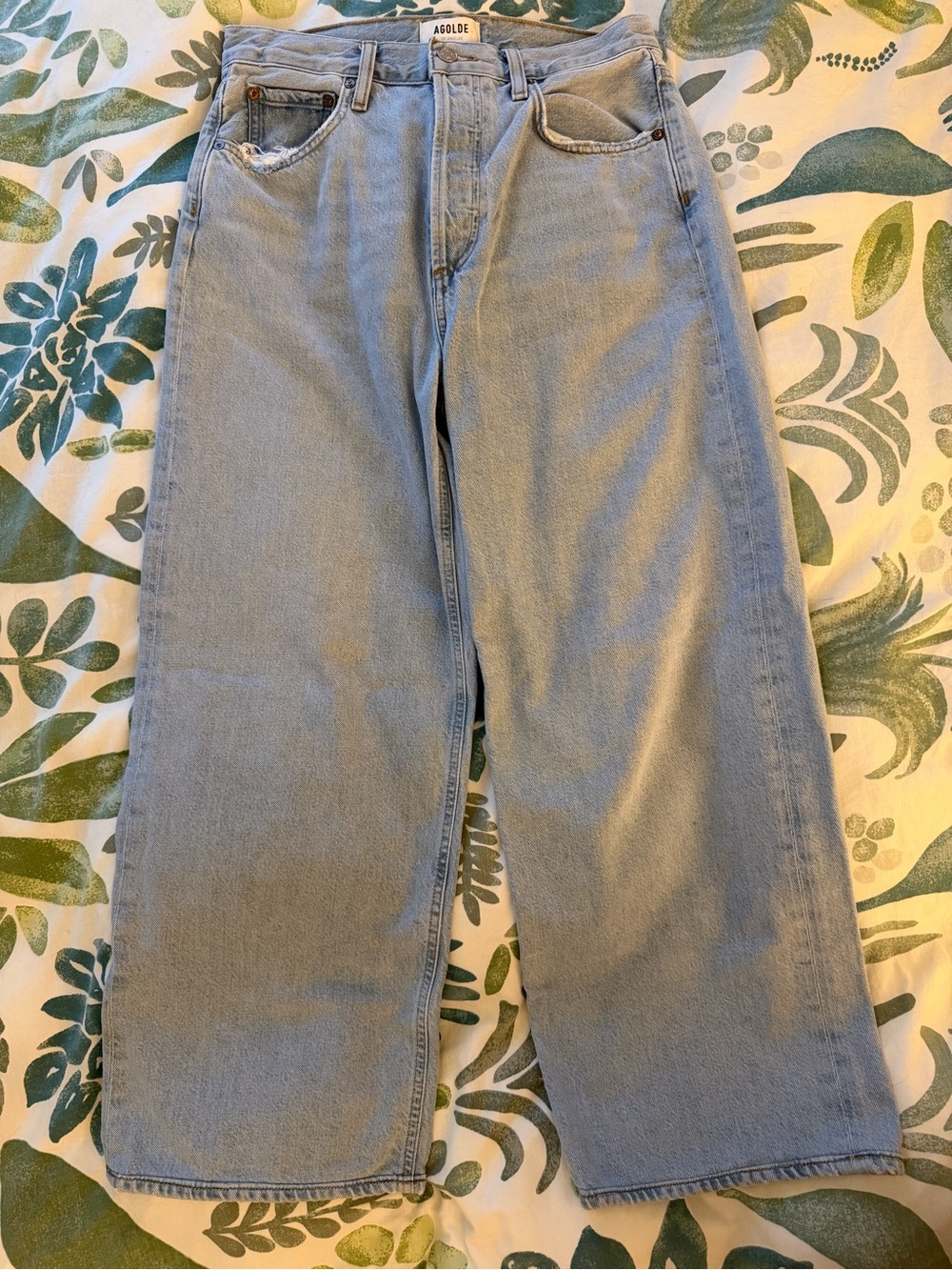 AGOLDE Low Slung Baggy Jeans